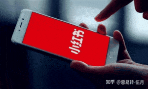 rednote, rede social, tiktok