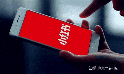 rednote, rede social, tiktok